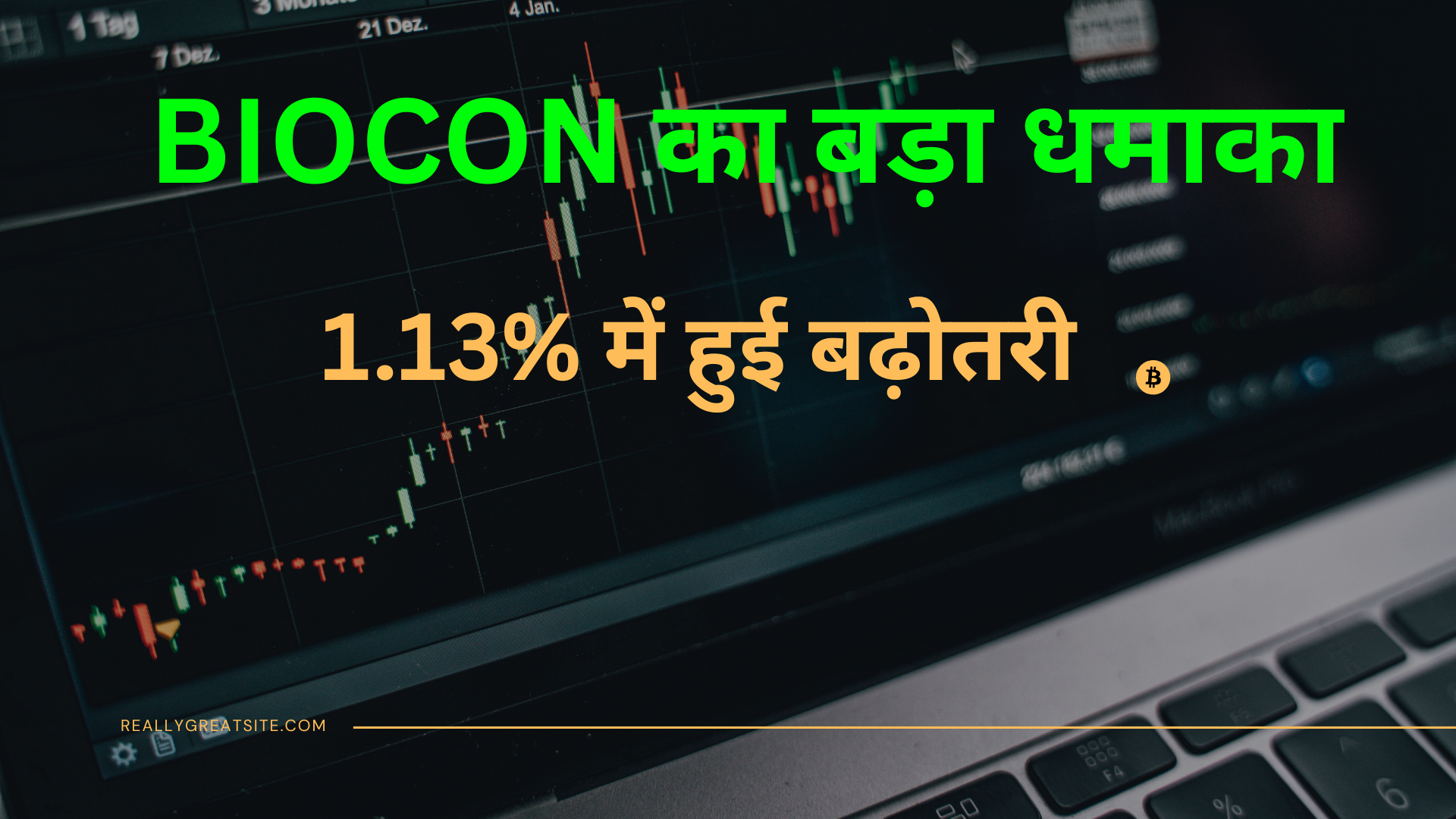 Biocon Share Price